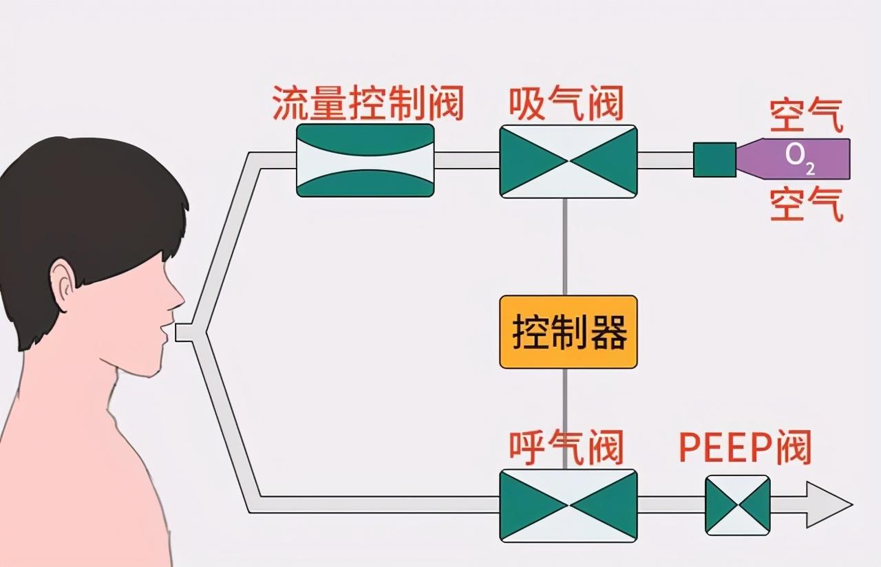 关于四个月宝宝打呼噜的文章