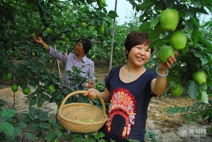 江苏滴达科技，引领科技创新的先锋力量