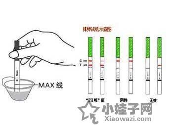 月经周期异常，月经半个月一次的困扰与解决策略