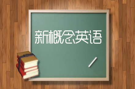 广东省专升本政治欢姐，引领学子攀登政治高峰的楷模