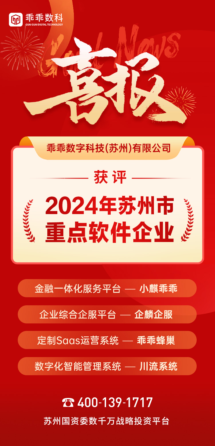 江苏软件科技公司的崛起与发展