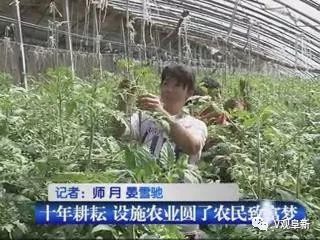 广东福兴种苗有限公司，繁荣农业生态的先锋力量