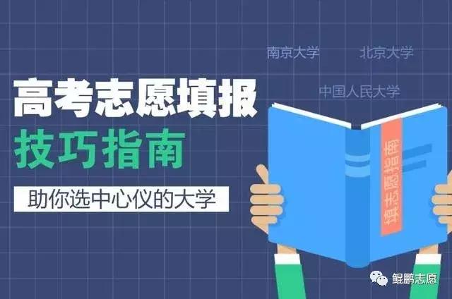 中山市师资力量的深度解读，广东省内的卓越排名