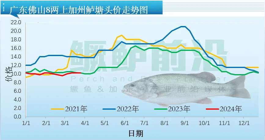 广东省大头鱼价格分析